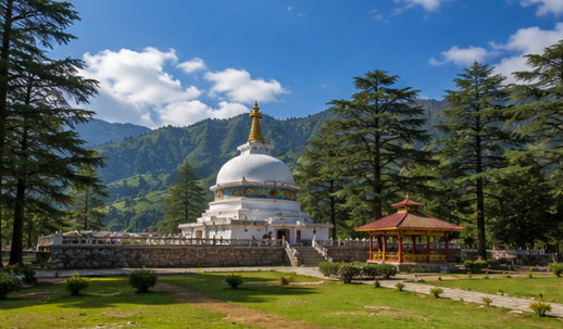 Delhi to Bir Billing Tempo Traveller Rental