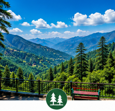 Delhi to Shimla Tempo Traveller Rental