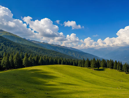 Delhi to Khajjiar Tour Packages