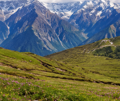 Delhi to Auli Tempo Traveller Rental