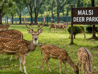 Delhi to Dehradun Tempo Traveller Rental
