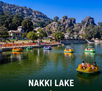 Delhi to Mount Abu Tempo Traveller Rental
