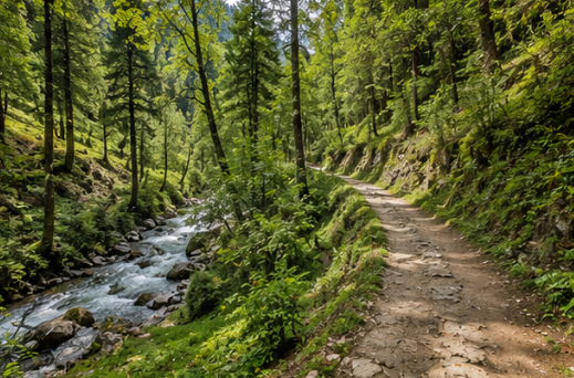 Delhi to Tirthan Valley Tour Packages