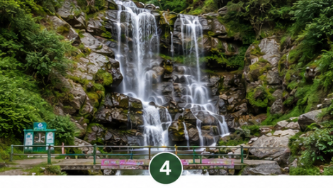 Delhi to Dalhousie Tempo Traveller Rental