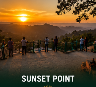 Delhi to Mount Abu Tempo Traveller Rental