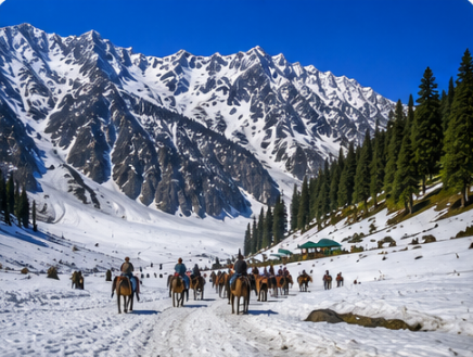 Delhi to Sonmarg Tempo Traveller Rental